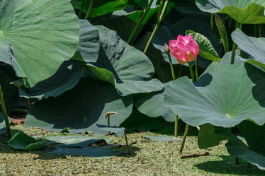 Similar image 13179180