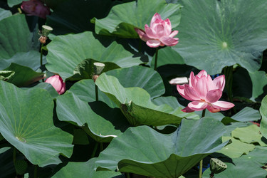 Similar image 13179181