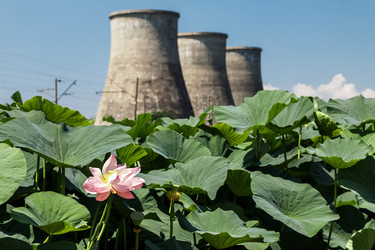 Similar image 13179183