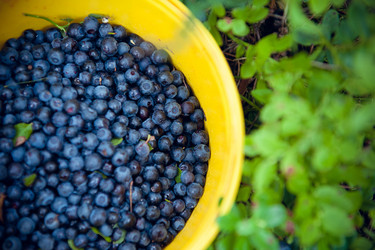 Similar image 13184684