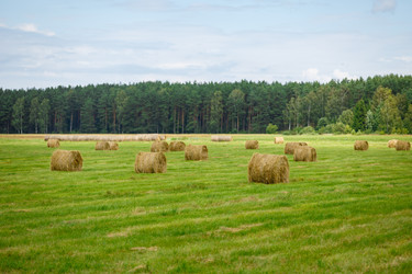 Similar image 13183340