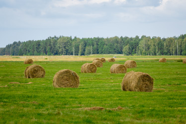 Similar image 13183399