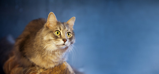 Similar image 13184693