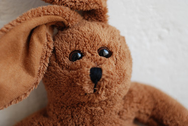 Similar image 13184697