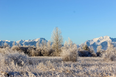 Similar image 13184706