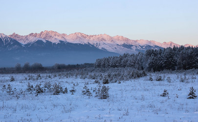 Similar image 13184938