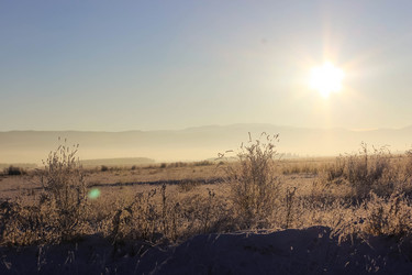 Similar image 13184967