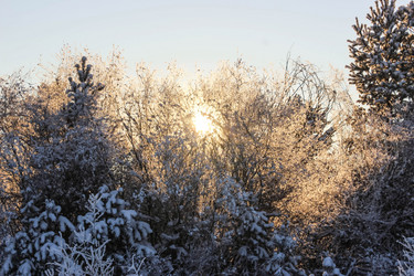 Similar image 13184968