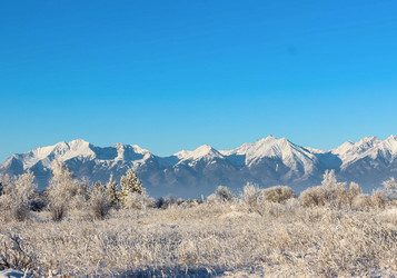 Similar image 13184969