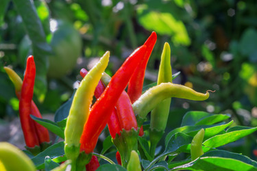 Similar image 13184721