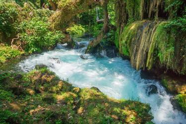 Similar image 13184725