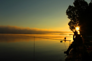 Similar image 13184710