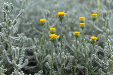 Similar image 13184712