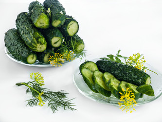 Similar image 13188626