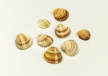 Similar image 13184885