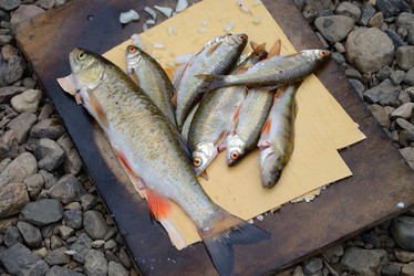 Similar image 13184892