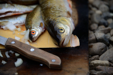 Similar image 13184893