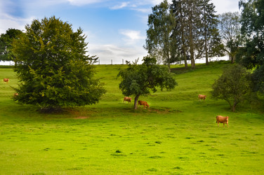 Similar image 13184903