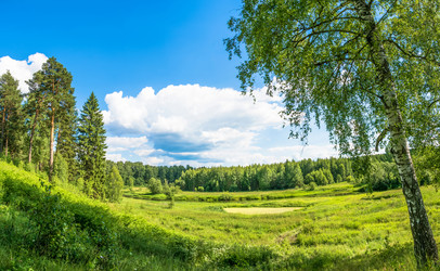 Similar image 13185030