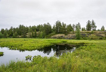 Similar image 13185048