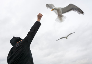 Similar image 13185077