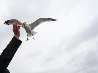 Similar image 13185078