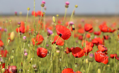 Similar image 13188872