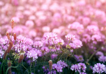 Similar image 13188873