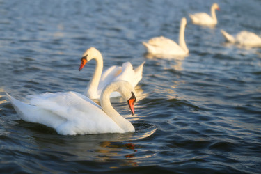 Similar image 13188876