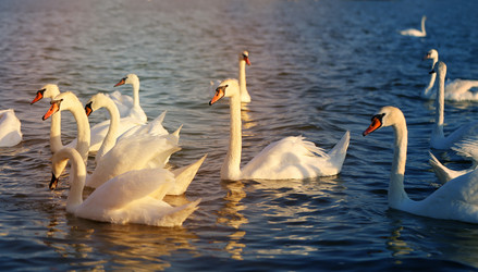 Similar image 13188877