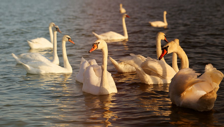 Similar image 13188879