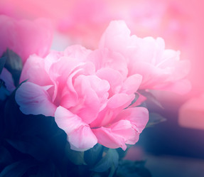 Similar image 13188880