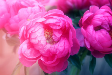 Similar image 13188882