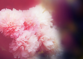 Similar image 13188883