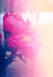 Similar image 13188885