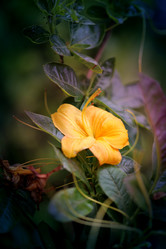 Similar image 13188886