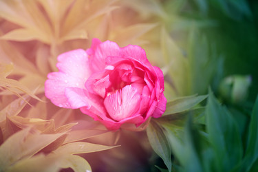 Similar image 13188887