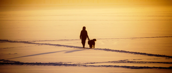 Similar image 13188787