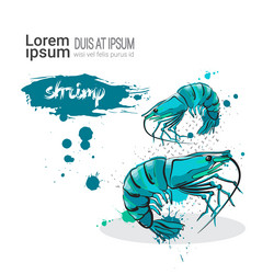 Similar image 13186117