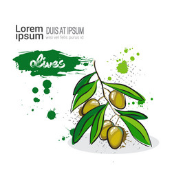 Similar image 13186125