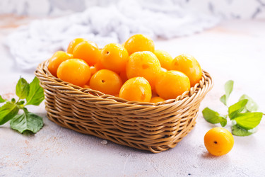 Similar image 13185724