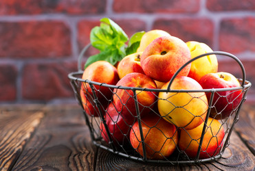 Similar image 13185841