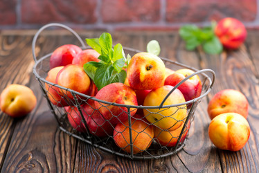 Similar image 13185842