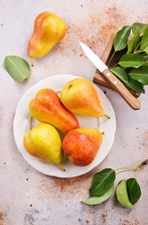 Similar image 13185900