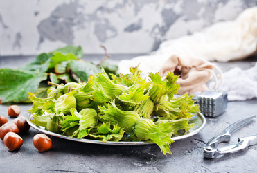 Similar image 13185856