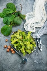 Similar image 13185929