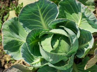 Similar image 13184878