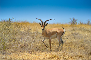 Similar image 13186020