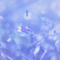 Similar image 13186044