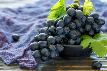 Similar image 13185553